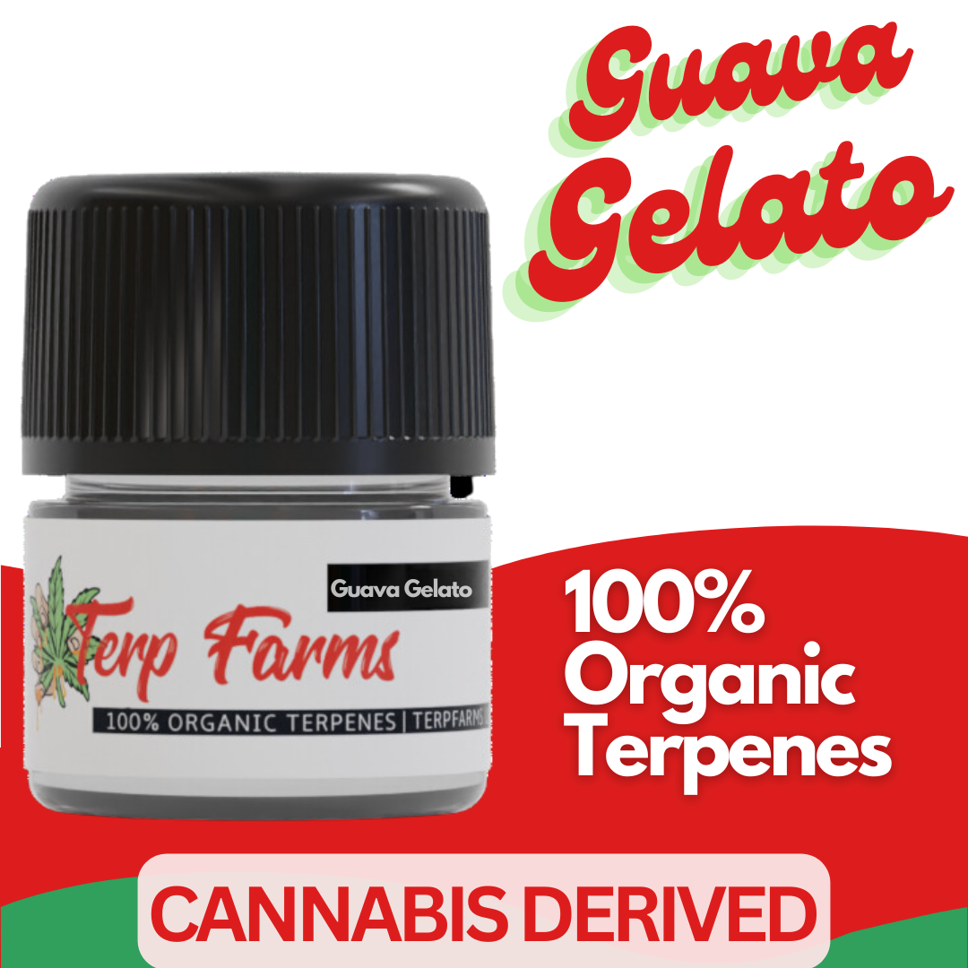 GUAVA GELATO CANNABIS TERPENES