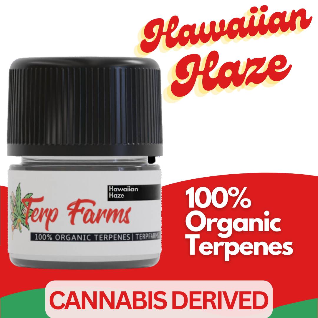 HAWAIIAN HAZE CANNABIS TERPENES