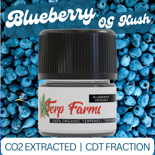 Blueberry OG Kush Cannabis Derived Terpenes - CO2